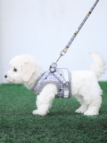 背心式犬牽引紐テディ比熊小型犬胸背ドッグラン子犬チェーンペット用品