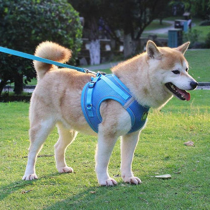 犬ウェアハーネス リードセット ネコ ワンちゃん 大人気 上品 全サイズ リードメッシュハーネス 愛犬 反射板 散歩 安心 マジックテープ