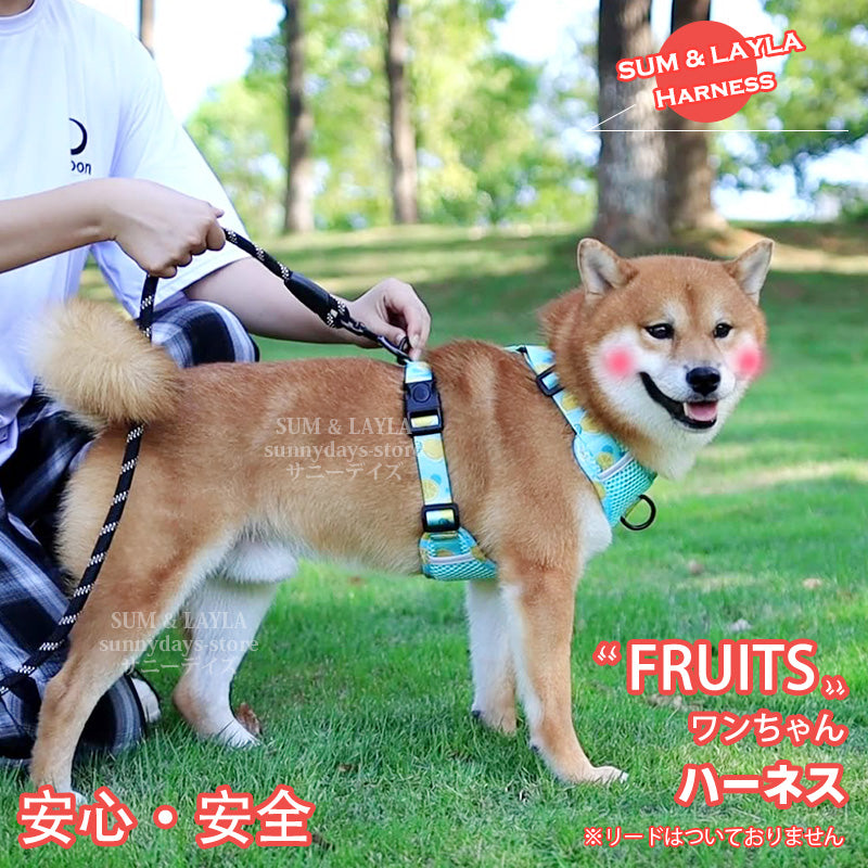 通気性 老犬 犬ハーネス 柴犬 犬 胴輪 に優しい 夏色 メッシュ H型 おしゃれ 体温調節 犬用 快適 犬 反射材 抜け防止 痛くない ハーネス ソフト 引っ張り子