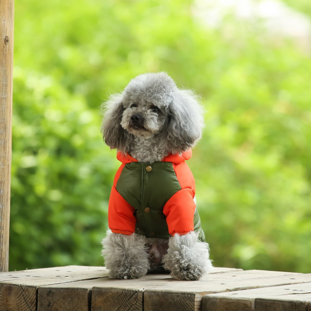 犬服 服 フード付きダウン風ジャケット ジャケット コート おしゃれ かわいい 小型犬 保温 防寒 やわらか あったか 犬用 犬の服 犬 服 ペット服 ドッグウェア997