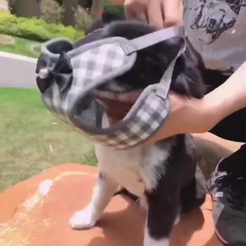 【3日以内に出荷】ハーネス 犬 リード付 ペット ソフトハーネス 胴輪 メッシュ素材 ベスト 小型犬 中型犬 大 ペット