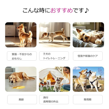 <a href="https://www.qoo10.jp/gmkt.inc/Search/brand.aspx?brandno=109151" target="_blank" class="title_brand" id="btn_brand" title="Honeycare">Honeycare</a>ペットの紙おむつ 男の子用 50枚入り 犬用 オムツ マナーウェア 犬用 高齢犬用 紙オムツ 犬 紙おむつ 旅行・介護・トレーニング対応 SSS/SS/S/M/Lサイズ選べる 使い捨て 清潔・快適設計