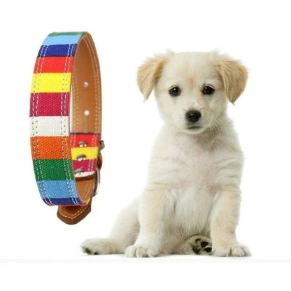 選べる福袋2025-犬用 首輪 ペットリード ２点セット 帆布七つ色 帆布＋レザー メール便対応