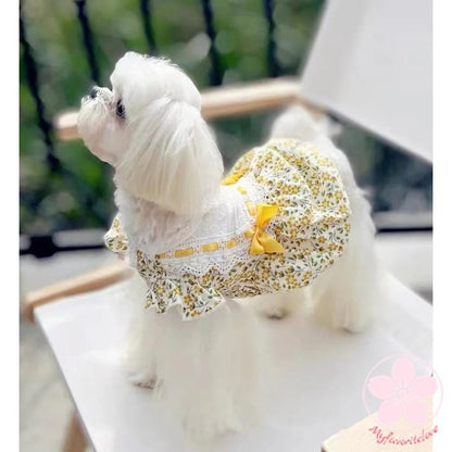 万能流行感 ペット 服 安い 犬 春 夏 ２色 付き 花柄 ワンピース かわいい 可愛い ハイブランド 猫 ドッグウェア