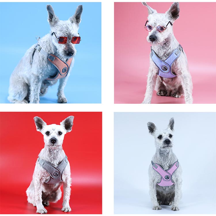 犬 ハーネス 負担軽減 胴輪 小型犬 中型犬 老犬 リード付き 犬具 リードセット 散歩 お出かけ