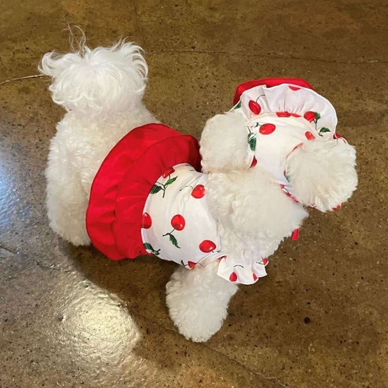 工ガ割-犬服可愛いチェリー水着ワンピース中小型犬子猫服ペット服