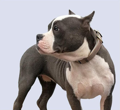 猫 小型犬 ペットグッズ 犬 2重ロック 痛くない 首輪 中型犬 レザー マイクロファイバー ドッグ ペット