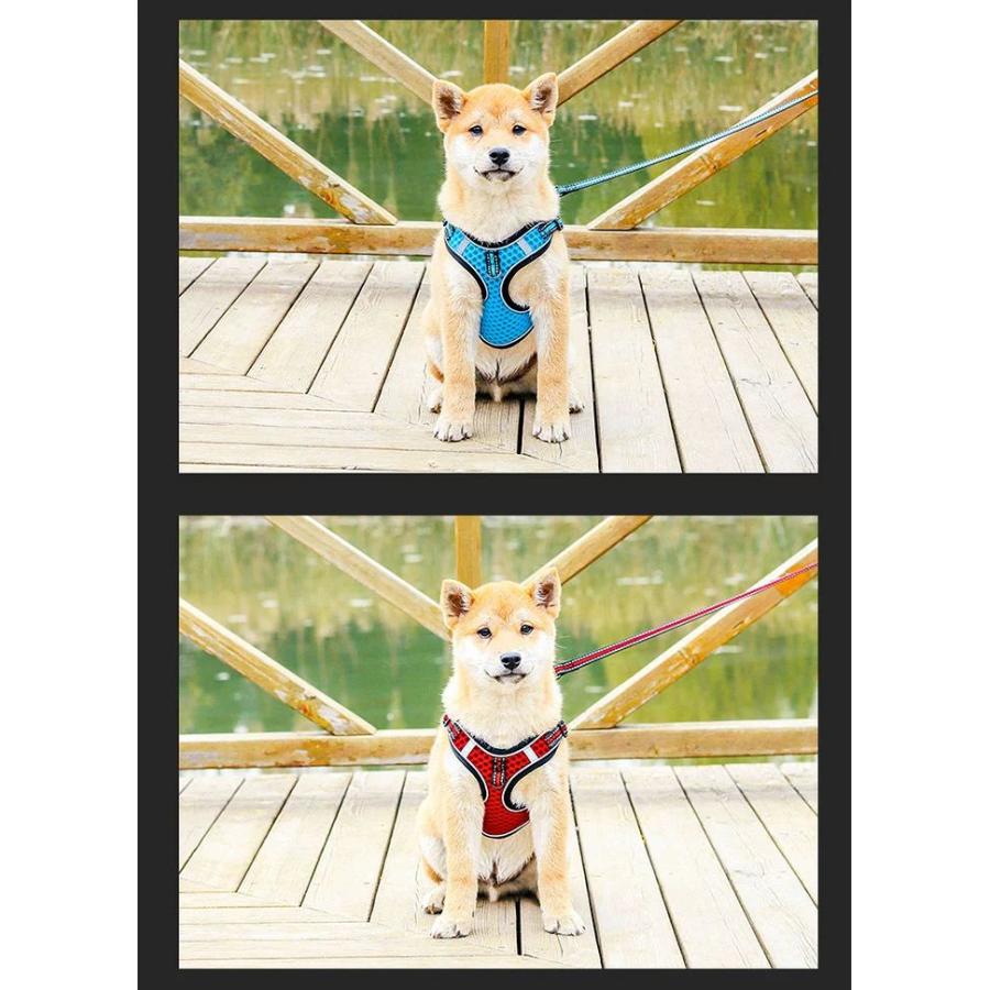 新商品プロモーション，数量限定 犬 猫 ハーネス リード付 特殊大型メッシュ ウェアハーネス ペット 服 胴輪 キャット ドッグ犬 猫