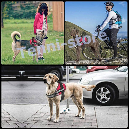 今週の新製品 タイムセール 犬 ハーネス 名前 胴輪 単品 名入れ イニシャル 簡単装着 引っ張り防止 抜けない 小型犬 中型犬 大型犬 かわいい 散歩 お出かけ アウトドア 【一部当日発送】 在庫が