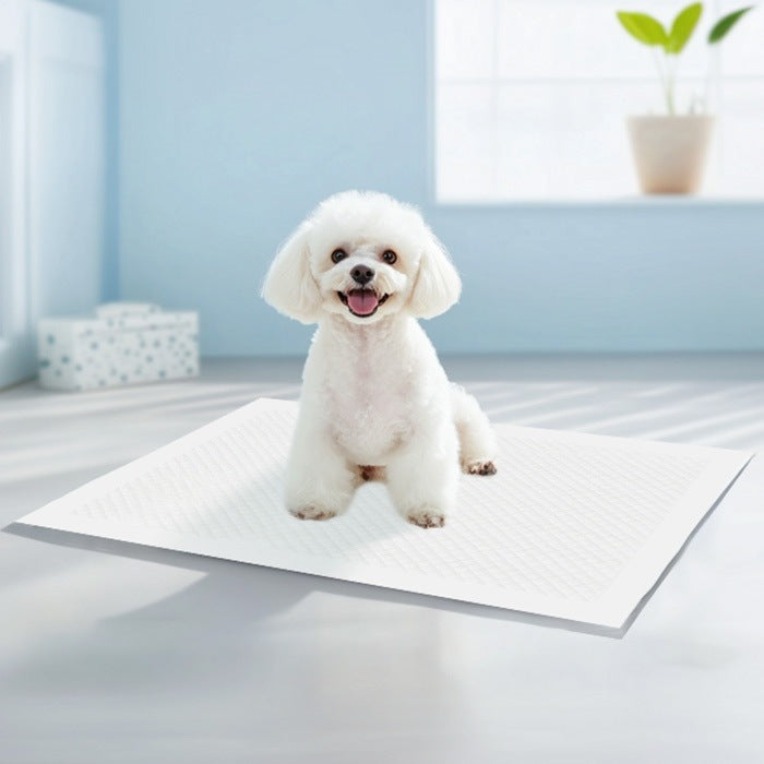 <a href="https://www.qoo10.jp/gmkt.inc/Search/brand.aspx?brandno=109151" target="_blank" class="title_brand" id="btn_brand" title="Honeycare">Honeycare</a>急速発送 ペットシーツ 中厚型 レギュラー 100枚 ワイド 50枚 スーパーワイド 25枚 トイレシーツ ペットシート 犬 猫 トイレ用品