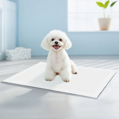 <a href="https://www.qoo10.jp/gmkt.inc/Search/brand.aspx?brandno=109151" target="_blank" class="title_brand" id="btn_brand" title="Honeycare">Honeycare</a>急速発送 ペットシーツ 中厚型 レギュラー 100枚 ワイド 50枚 スーパーワイド 25枚 トイレシーツ ペットシート 犬 猫 トイレ用品