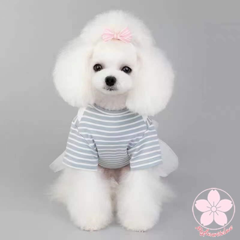 新品 大人気 ペット 服 安い 犬 春 夏 秋 ボーダー ワンピース フリル かわいい 可愛い ハイブランド 猫 ドッグウェア