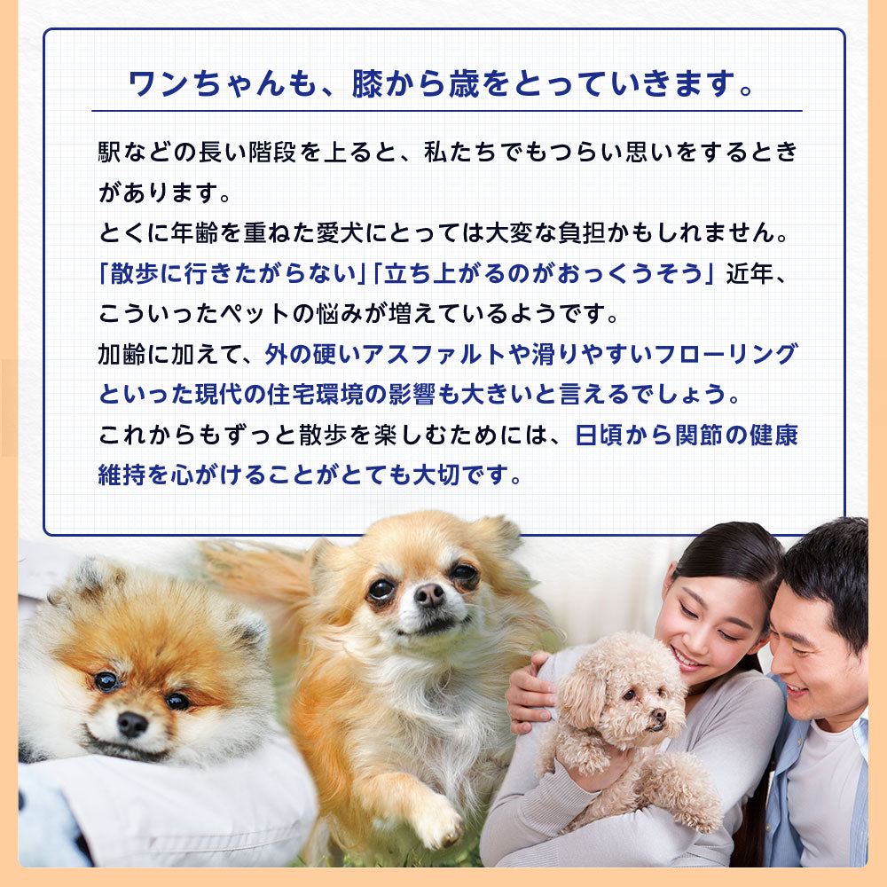<a href="https://www.qoo10.jp/gmkt.inc/Search/brand.aspx?brandno=128060" target="_blank" class="title_brand" id="btn_brand" title="Suntory Wellness">Suntory Wellness</a>サントリー 公式 Pet Health (ペットヘルス) グルコサミン プラス 動物用栄養補助食品 60粒入/約10～30日分
