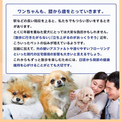 <a href="https://www.qoo10.jp/gmkt.inc/Search/brand.aspx?brandno=128060" target="_blank" class="title_brand" id="btn_brand" title="Suntory Wellness">Suntory Wellness</a>サントリー 公式 Pet Health (ペットヘルス) グルコサミン プラス 動物用栄養補助食品 60粒入/約10～30日分