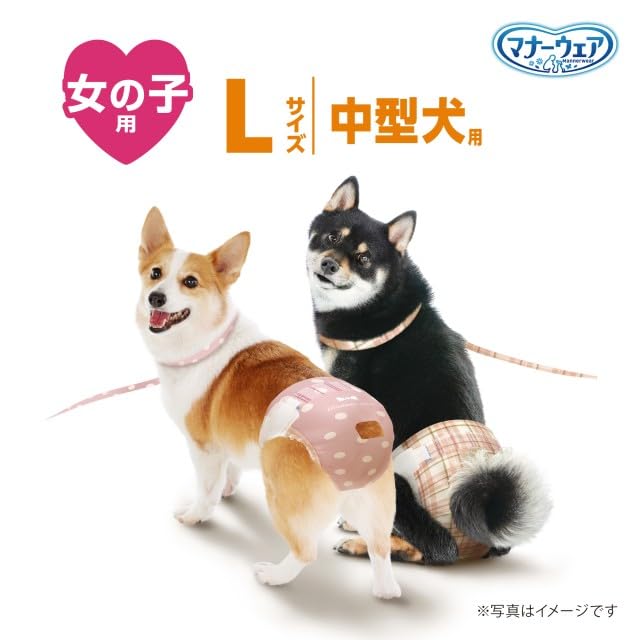 <a href="https://www.qoo10.jp/gmkt.inc/Search/brand.aspx?brandno=124379" target="_blank" class="title_brand" id="btn_brand" title="マナーウェア">マナーウェア</a>マナーウェア 女の子用 Lサイズ モーヴピンクドット・チェック 32枚