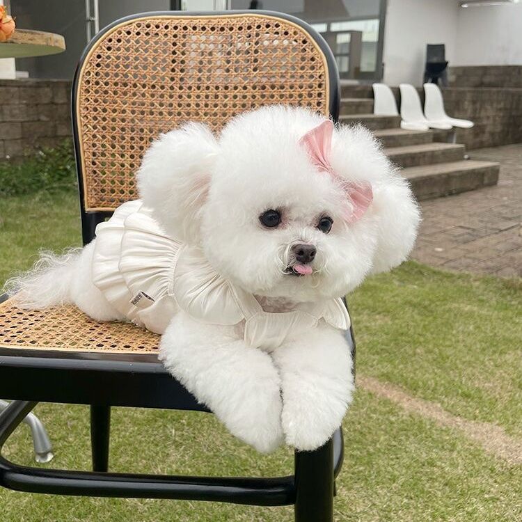 春夏新作 薄手のチョッキ ペット ペットの服 ペット用品 チュールスカートテディベア 愛犬 犬服 犬の服
