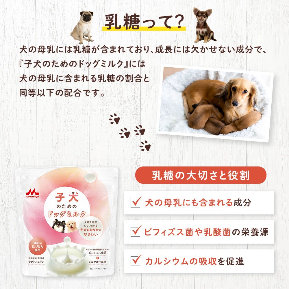 <a href="https://www.qoo10.jp/gmkt.inc/Search/brand.aspx?brandno=120757" target="_blank" class="title_brand" id="btn_brand" title="森永乳業">森永乳業</a>子犬のためのドッグミルク 2袋 × 150g [ 300g ] 【森永乳業 公式ショップ】 森乳サンワールド ミルク 粉 morinaga ペットフード 犬 いぬ 乳酸菌 ビフィズス菌 小分