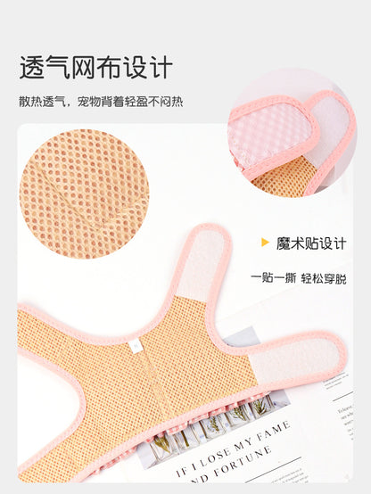 胴輪 リーシュ ハーネス ネコ用ハーネス 2点セット 犬 ペット用品 簡単装着 おしゃれ 犬用 お出かけ ハーネスリードセット 軽量 リード 小型犬 中型犬 犬用ハーネス お散歩 ペットハーネス 81