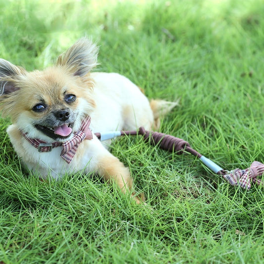 リード 中型犬 猫用 簡単装着 小型犬 160 ネコ用ハーネス 犬用 犬 2点セット シンプル ハーネスリードセット 犬用ハーネス ペット用品 ハーネス 胴輪 おしゃれ ペットハーネス 軽量 リーシュ