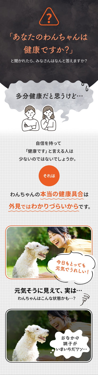 <a href="https://www.qoo10.jp/gmkt.inc/Search/brand.aspx?brandno=62316" target="_blank" class="title_brand" id="btn_brand" title="大正製薬">大正製薬</a>【公式】大正製薬 わんビオフェルミンS 40g 犬 サプリ サプリメント 腸活 免疫力 健康維持 ビフィズス菌 乳酸菌 犬サプリ イヌ 犬用 ペット 腸活サプリ 無添加 ふりかけ 粉 腸内環境