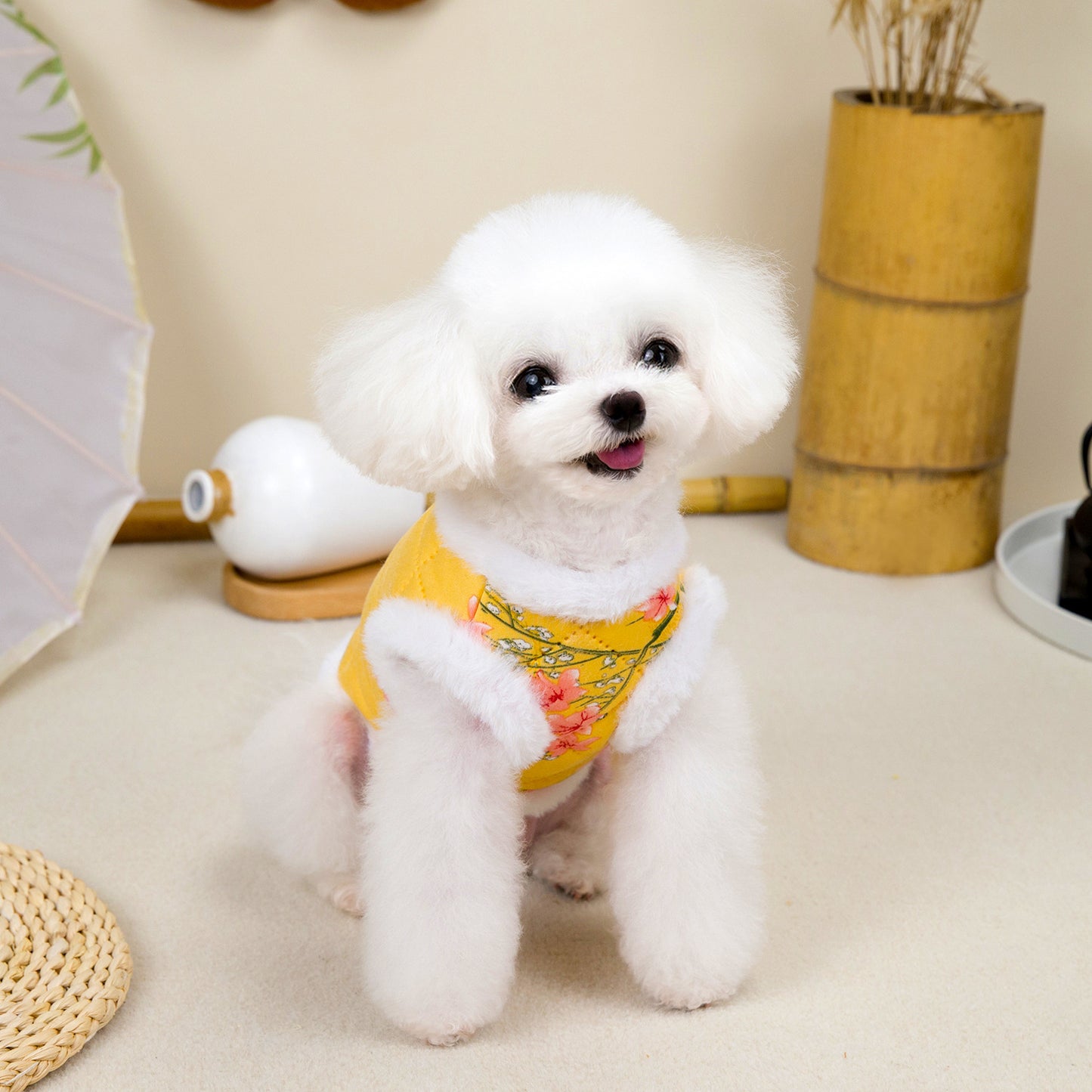 人気ペット用品犬の服猫小型犬暖かく快適なテディカントリースタイルの綿ベスト