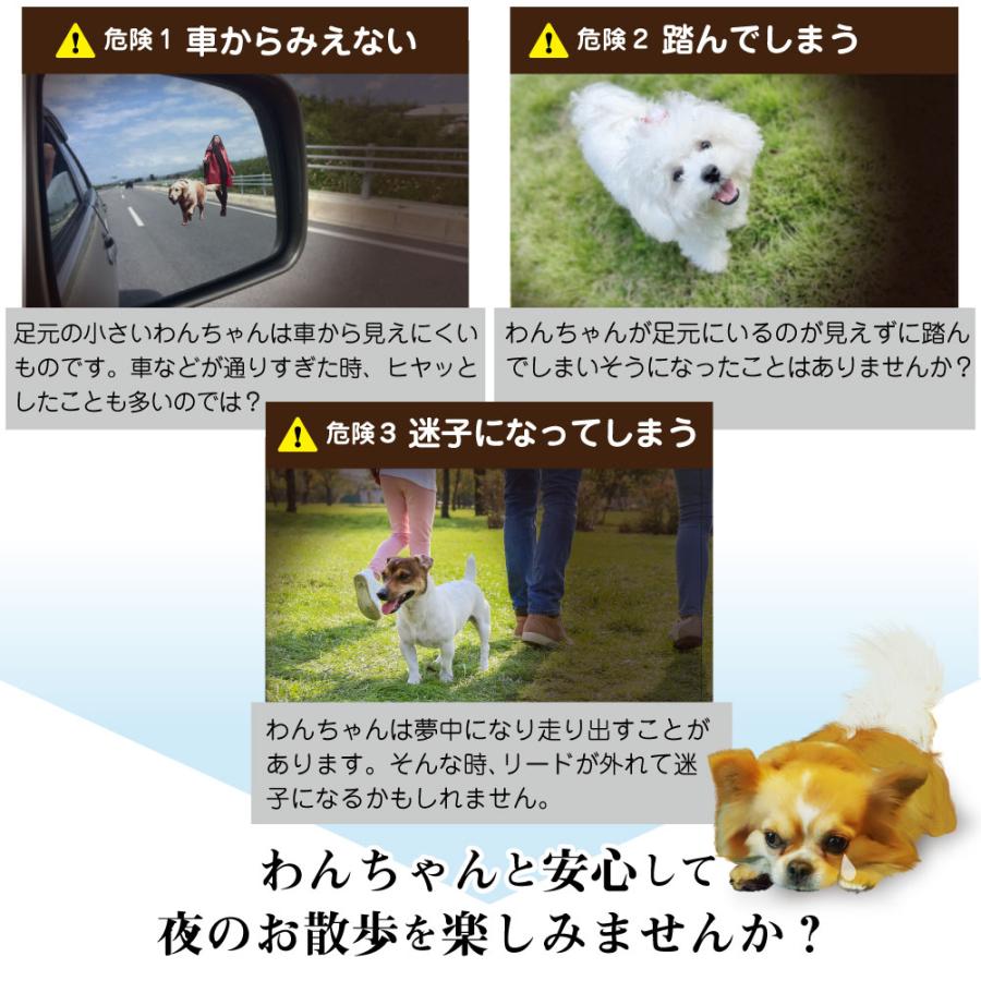 中型 猫 首輪 小型 ペット 大型 LED 充電式 光る 犬 ライト カラー