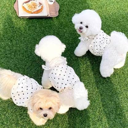 犬 洋服 ペットの子犬の服かわいい水玉模様のドレス春夏薄い