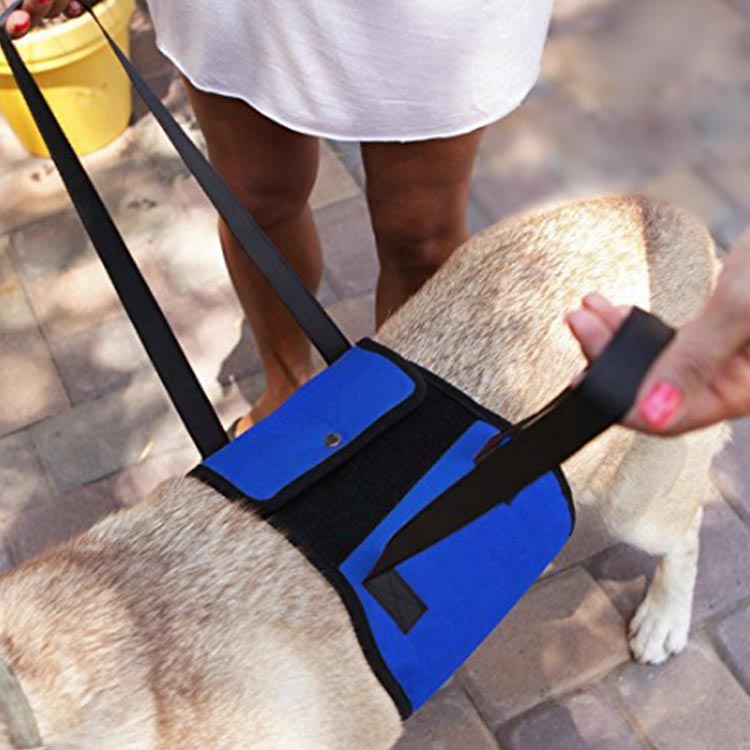歩けない 術後 犬 イヌ 小型犬 ベルト 中型犬 大型犬 足腰 病後 シニア犬 歩行補助 歩行補助ハーネス 介護用 ハーネス 歩行 補助 犬用 介護用ハーネス 老犬 補助ハーネス 歩行支援ベルト