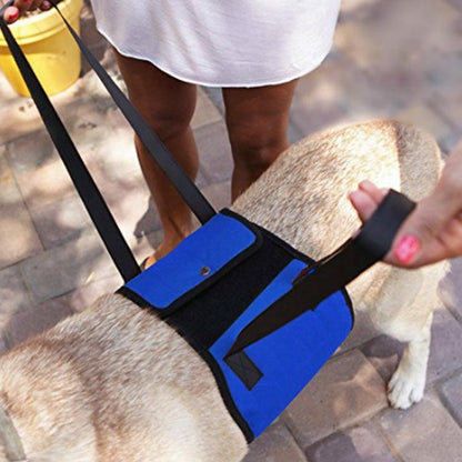 歩けない 術後 犬 イヌ 小型犬 ベルト 中型犬 大型犬 足腰 病後 シニア犬 歩行補助 歩行補助ハーネス 介護用 ハーネス 歩行 補助 犬用 介護用ハーネス 老犬 補助ハーネス 歩行支援ベルト