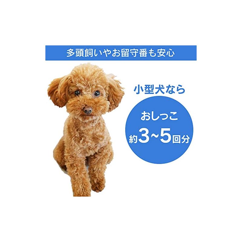 【即納】【Amazon.co.jp限定】 SmartBasic アイリスオーヤマ ペットシーツ 超厚型 お徳用 レギュラー 200枚入り (ケース販売)