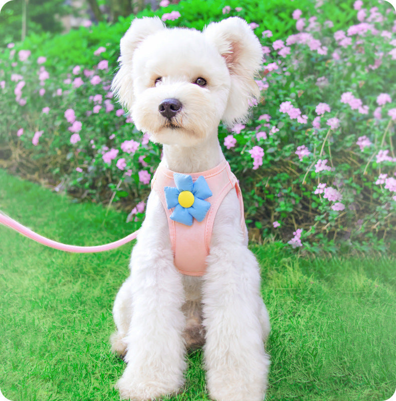 小型犬 犬 リード 75 猫用 中型犬 ペットハーネス ペット用品 シンプル 胴輪 お出かけ 犬用 2点セット ハーネス ネコ用ハーネス お散歩 簡単装着 犬用ハーネス 軽量 おしゃれ ハーネスリード