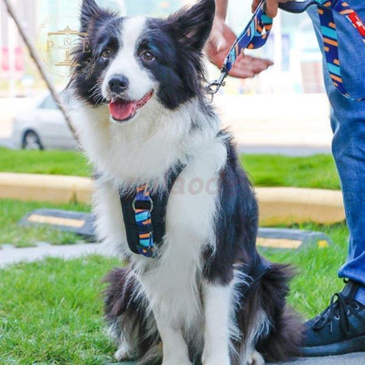 犬 ハーネス 犬用 ハーネス 胴輪 ソフトパッド 簡単装着 夏 快適 大型犬 大型犬 小型犬 スポーツハーネス 夏用 おしゃれ