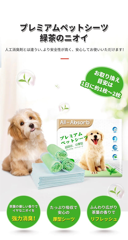 <a href="https://www.qoo10.jp/gmkt.inc/Search/brand.aspx?brandno=109151" target="_blank" class="title_brand" id="btn_brand" title="Honeycare">Honeycare</a>ペットシート 　薄型 ペットシーツ犬猫 サイズ選択可 レギュラー800枚 ワイド400枚 スーパーワイド200枚
