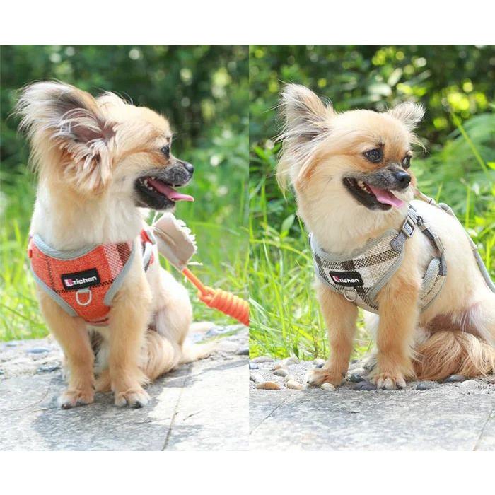 新商品プロモーション，数量限定 犬 猫 ハーネス リード ペット 格子 ギンガム デザイン 服 ウェアハーネス 胴輪 キャット ドッグ犬 猫
