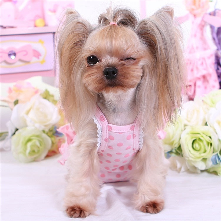 小型犬 生理パンツ オムツカバー犬服犬の服 サスペンダー付き 介護 避妊 トイプードル サニタリーパ