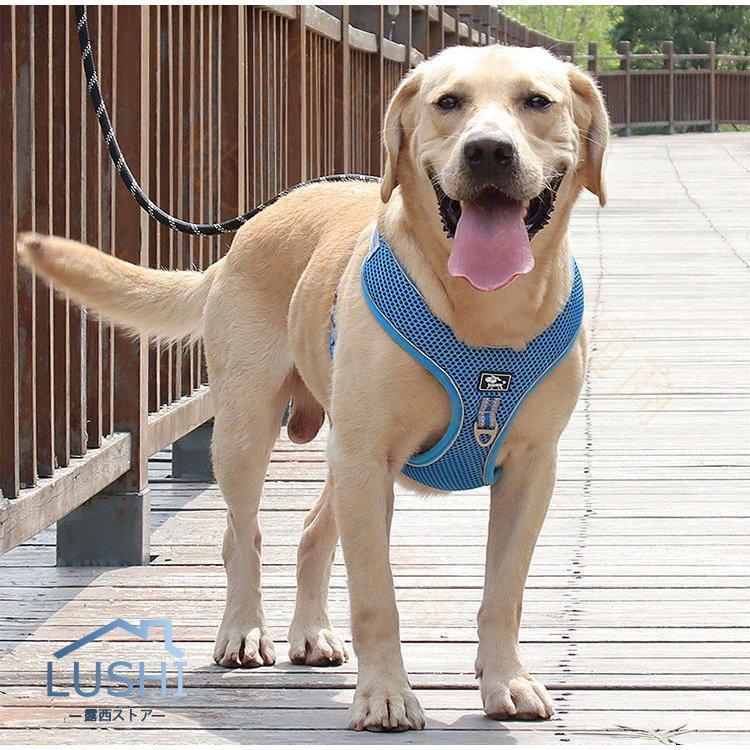 ハーネス リード 犬用 中型犬 大型犬ベスト ペット 通気性 リード ハーネスセット ドッグラン お散歩 ベスト型 リボン 胴輪 脱着簡単 衝撃吸収 外出 お洒落 安全