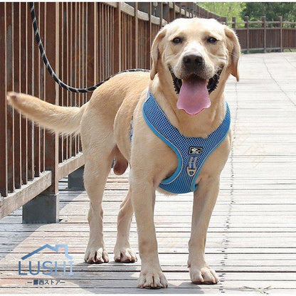 ハーネス リード 犬用 中型犬 大型犬ベスト ペット 通気性 リード ハーネスセット ドッグラン お散歩 ベスト型 リボン 胴輪 脱着簡単 衝撃吸収 外出 お洒落 安全