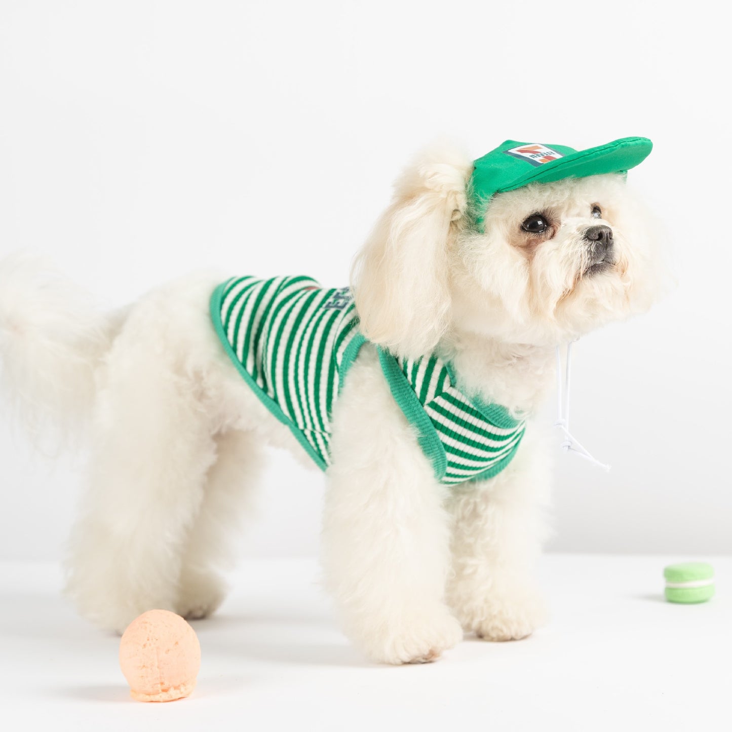 犬 洋服 春夏犬服ボーダーベスト帽子リードスリング小型犬猫ペット服
