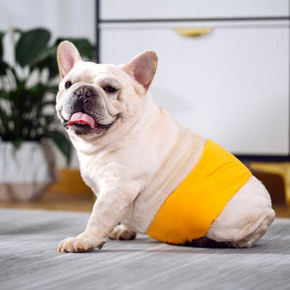 メガ割 犬用 ベルト 男の子 ウェア おむつカバー いぬ用 トイレ用品 バンド 生理用 犬 福袋