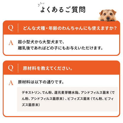 <a href="https://www.qoo10.jp/gmkt.inc/Search/brand.aspx?brandno=62316" target="_blank" class="title_brand" id="btn_brand" title="大正製薬">大正製薬</a>【公式】大正製薬 わんビオフェルミンS 40g 犬 サプリ サプリメント 腸活 免疫力 健康維持 ビフィズス菌 乳酸菌 犬サプリ イヌ 犬用 ペット 腸活サプリ 無添加 ふりかけ 粉 腸内環境