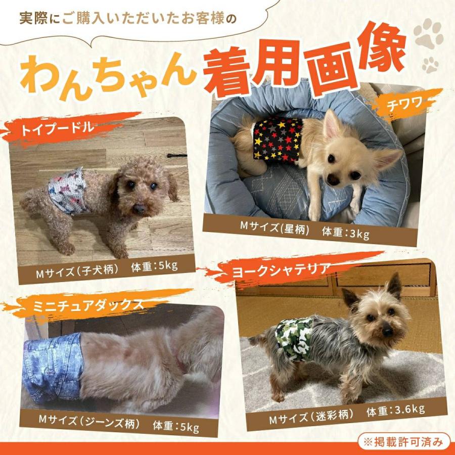 <a href="https://www.qoo10.jp/gmkt.inc/Search/brand.aspx?brandno=124379" target="_blank" class="title_brand" id="btn_brand" title="マナーウェア">マナーウェア</a>チワワ マナーパンツ 犬 オムツカバー オス 中型犬 犬用 おむつ マナーウェア マナーベルト XL ずれない マナーバンド 小型犬 M 犬用 L