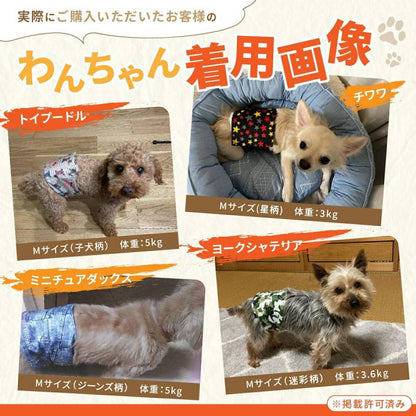 <a href="https://www.qoo10.jp/gmkt.inc/Search/brand.aspx?brandno=124379" target="_blank" class="title_brand" id="btn_brand" title="マナーウェア">マナーウェア</a>チワワ マナーパンツ 犬 オムツカバー オス 中型犬 犬用 おむつ マナーウェア マナーベルト XL ずれない マナーバンド 小型犬 M 犬用 L