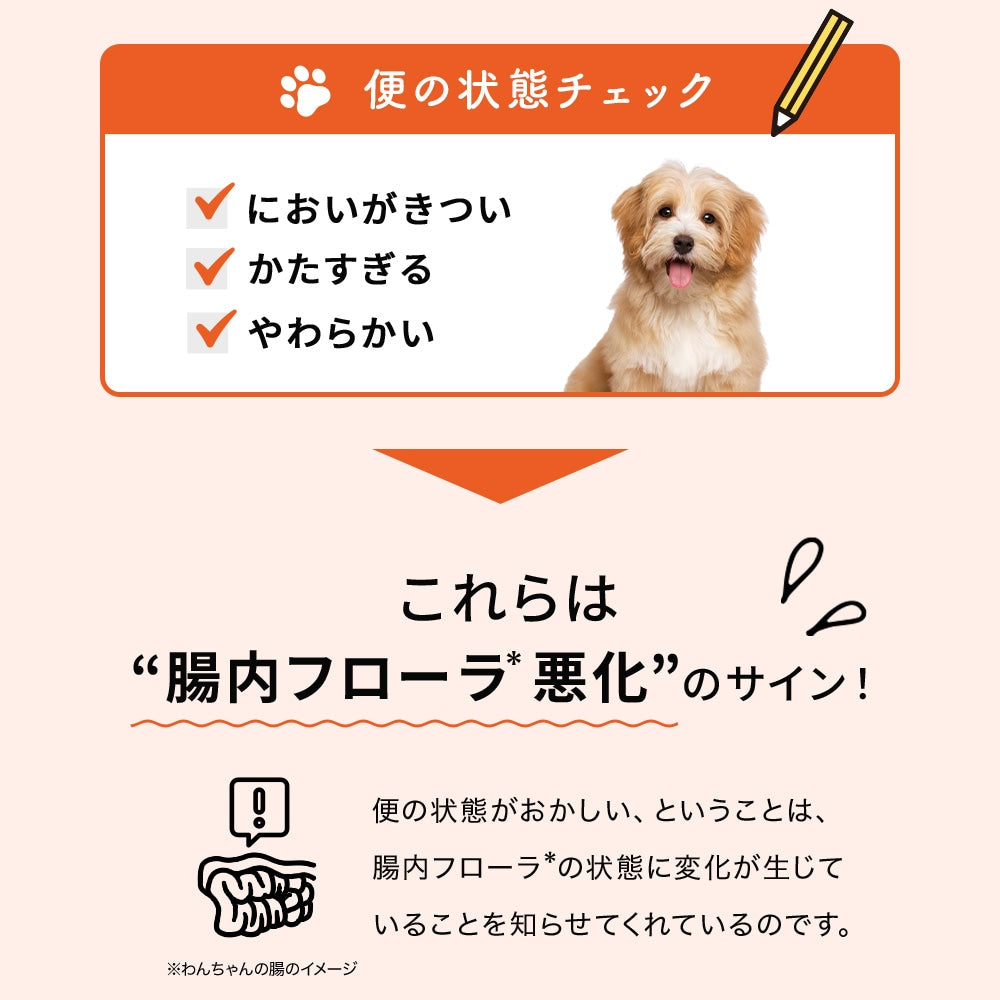 <a href="https://www.qoo10.jp/gmkt.inc/Search/brand.aspx?brandno=62316" target="_blank" class="title_brand" id="btn_brand" title="大正製薬">大正製薬</a>【公式】大正製薬 わんビオフェルミンS 40g 犬 サプリ サプリメント 腸活 免疫力 健康維持 ビフィズス菌 乳酸菌 犬サプリ イヌ 犬用 ペット 腸活サプリ 無添加 ふりかけ 粉 腸内環境
