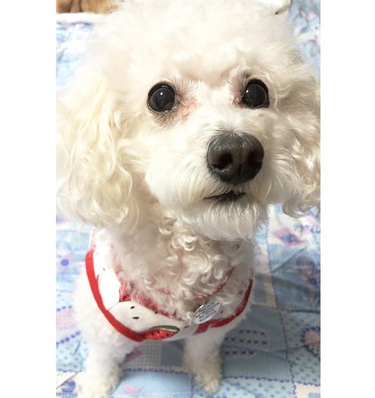 ハンドメイドオーダーメイド商品犬 首輪 おしゃれ 中型犬 小型犬 本革 かわいい 犬首輪 犬の首輪