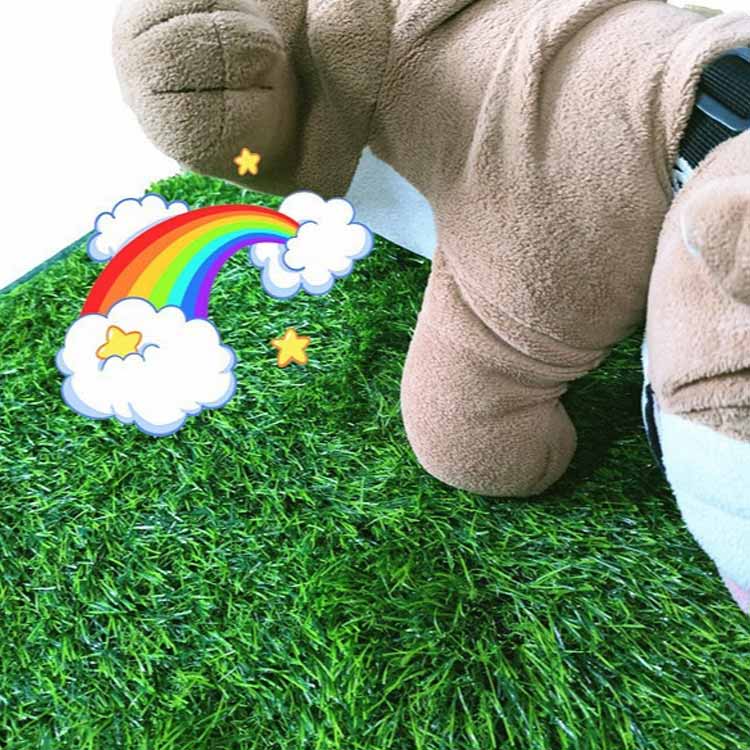 ペット用 人工芝 犬 ペットシート ペット用トイレ おしっこマット ペットトイレシート しつけ 子犬 洗える 室内
