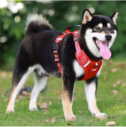犬ハーネス 犬用 5.0ｍ伸縮紐 犬用胴輪 反射材料付き 装着簡単 喉にやさしい 小型犬　大型犬 散歩/訓練/お出掛 ペット はーねす 安全 抜けない 軽量 調節可能