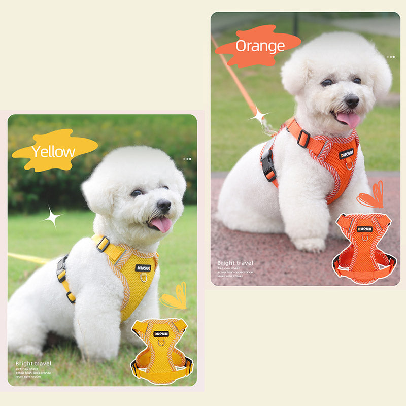 着脱簡単 4カラー 犬ハーネスリードセット 通気性抜群 春夏用最適 抜けない 蒸れない メッシュ素材