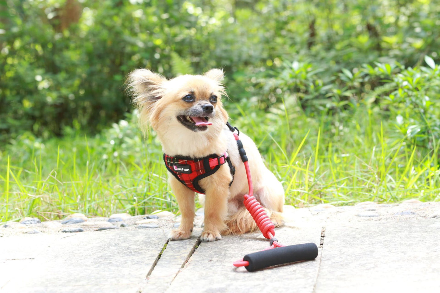 簡単装着 小型犬 胴輪 130 ペットハーネス 犬用ハーネス ハーネスリードセット おしゃれ リード 中型犬 お出かけ 犬用 猫用 シンプル 犬 ペット用品 軽量 リーシュ ネコ用ハーネス ハーネス