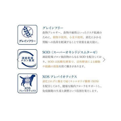 VetSolution ベッツソリューション 犬用 皮膚サポート 3kg 療養食 犬 ドッグフード 餌 皮膚疾患 掻痒症 脱毛症 食物過敏症