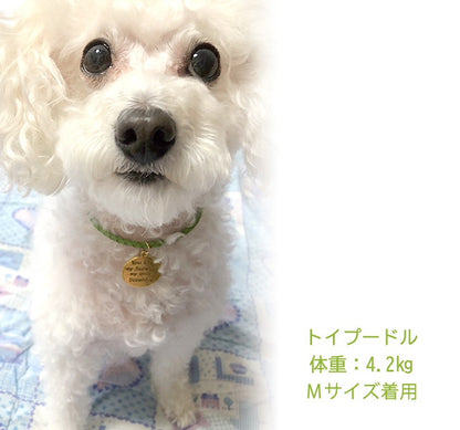 ハンドメイドオーダーメイド商品犬 首輪 おしゃれ 中型犬 小型犬 本革 かわいい 犬首輪 犬の首輪